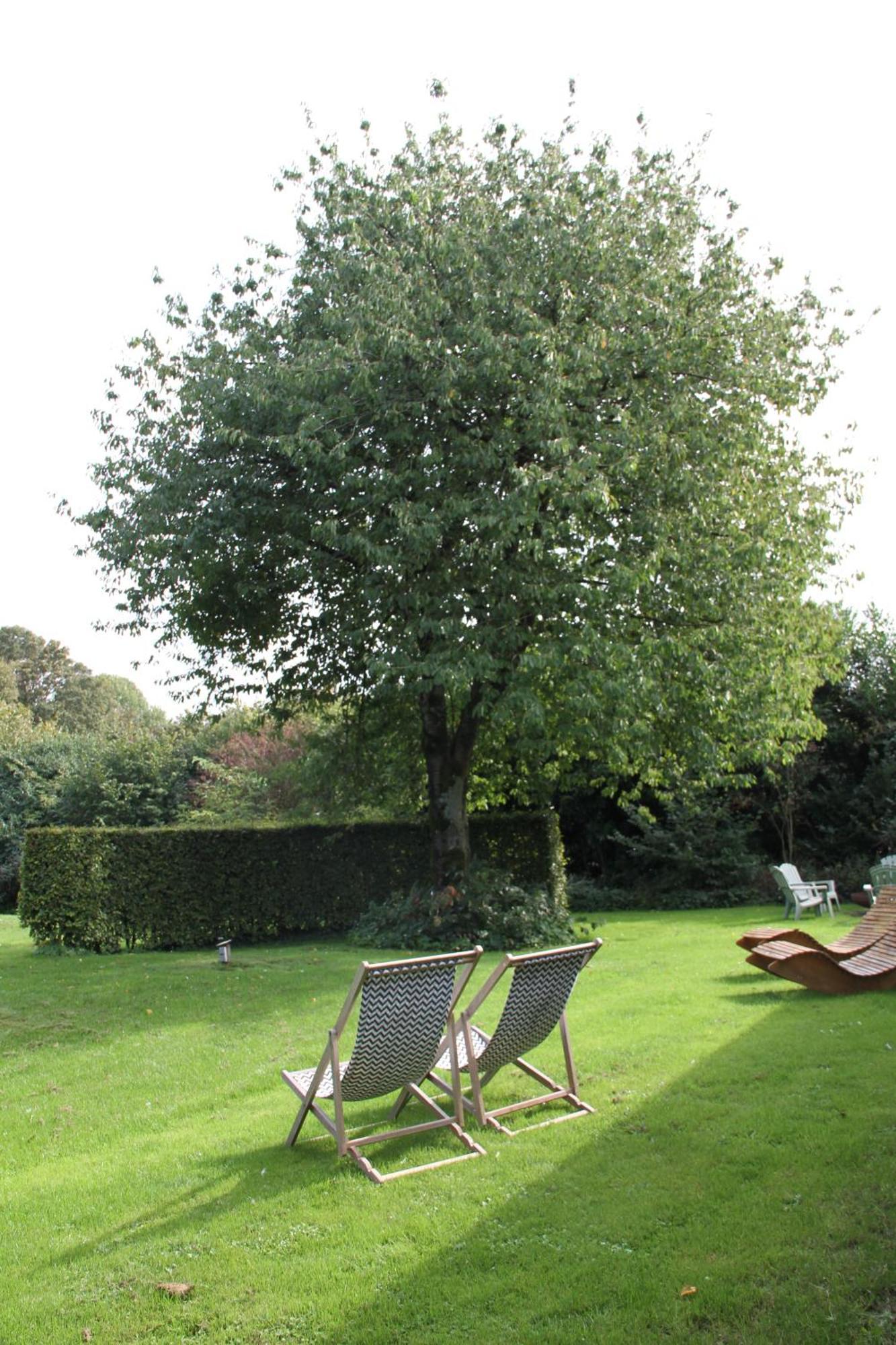 ErichemFamiliehuis De Betuwe Met Prive Kunstgras Tennisbaan En Sauna别墅 外观 照片